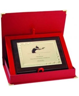 Tryumf Plastic diploma with engraved metal plate + case