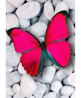 Beldizart Pink butterfly 20*30 cm WD054