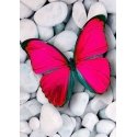 Beldizart Rožinis drugelis 20*30 cm WD054