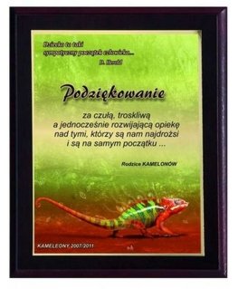 Tryumf Plastikinis diplomas su spalvotu touch laminatu