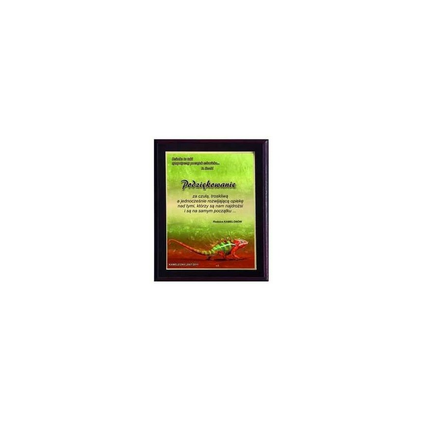Tryumf Plastic diploma with colored touch laminate – 2