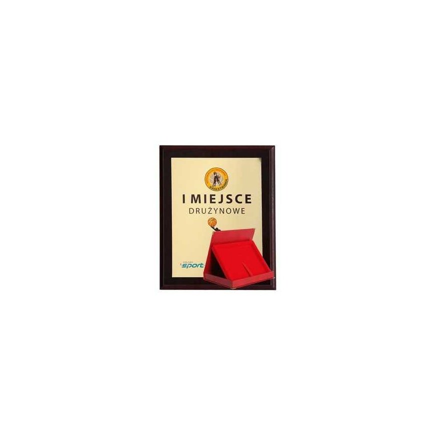 Tryumf Plastic diploma with colored touch laminate + case 275x220 mm – 2