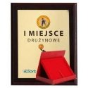 Tryumf Plastic diploma with colored touch laminate + case 275x220 mm Tryumf Plastic diploma with colored touch laminate + case 275x220 mm