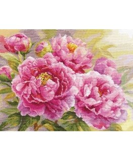 Beldizart Peonies S2-35