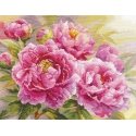 Beldizart Peonies S2-35