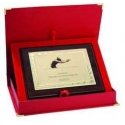 Tryumf Plastic diploma with engraved metal plate + case Tryumf Plastic diploma with engraved metal plate + case