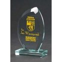 Tryumf Engraved glass trophy with case + paint filling Tryumf Engraved glass trophy with case + paint filling