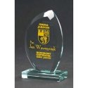 Tryumf Engraved glass trophy with case + paint filling Tryumf Engraved glass trophy with case + paint filling