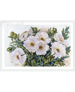 Merejka White flowers SK118