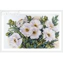 Merejka White flowers SK118 Merejka White flowers SK118