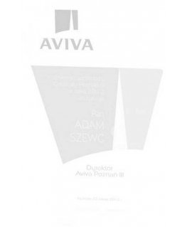 Tryumf Engraved glass trophy