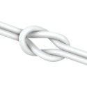 Ausinės Joyroom JR-EC06 Type-C sidabrinės