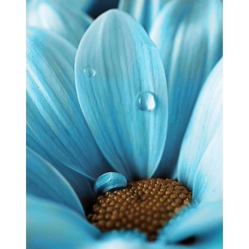 Beldizart SALE (discontinued) Blue Drop 38 x 48 cm WD020