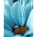 Beldizart SALE (discontinued) Blue Drop 38 x 48 cm WD020