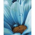 Beldizart IŠPARDAVIMAS (nebegaminamas) Mėlyna Drop 38 х 48 cm WD020 Beldizart IŠPARDAVIMAS (nebegaminamas) Mėlyna Drop 38 х 48 cm WD020
