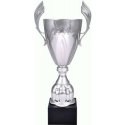 Tryumf Sidabrinis metalinis puodelis 4127A Tryumf Sidabrinis metalinis puodelis 4127A