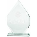 Tryumf 3D engraved glass trophy with case Tryumf 3D engraved glass trophy with case