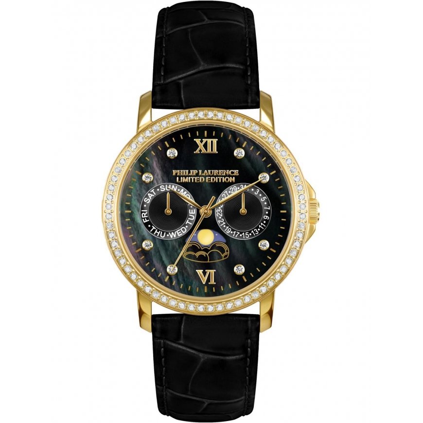 Laikrodis Watches PHILIP LAURENCE PL256SS1-14M