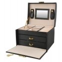 Toothbrush Beautylushh Jewelry Box / Chest - Black