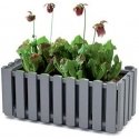 Prosperplast Balcony box with hooks Boardee Fencycase DDEF600W anthracite Prosperplast Balcony box with hooks Boardee Fencycase DDEF600W anthracite