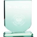 Tryumf 3D engraved glass trophy with case