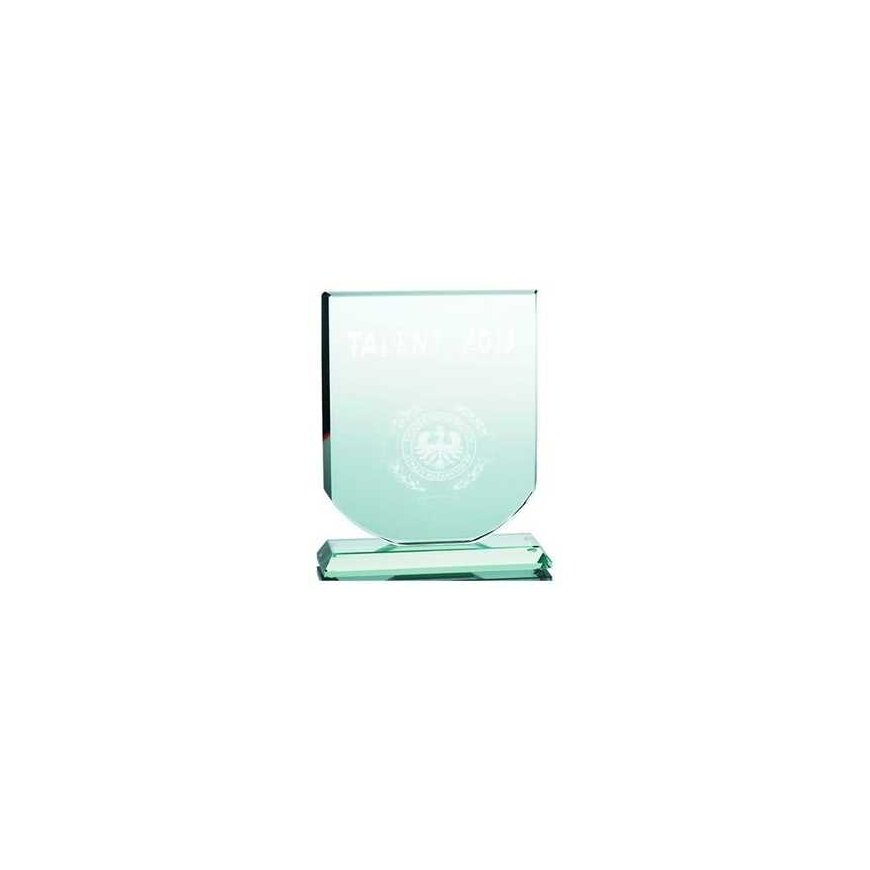 Tryumf 3D engraved glass trophy with case – 2