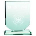Tryumf 3D engraved glass trophy with case
