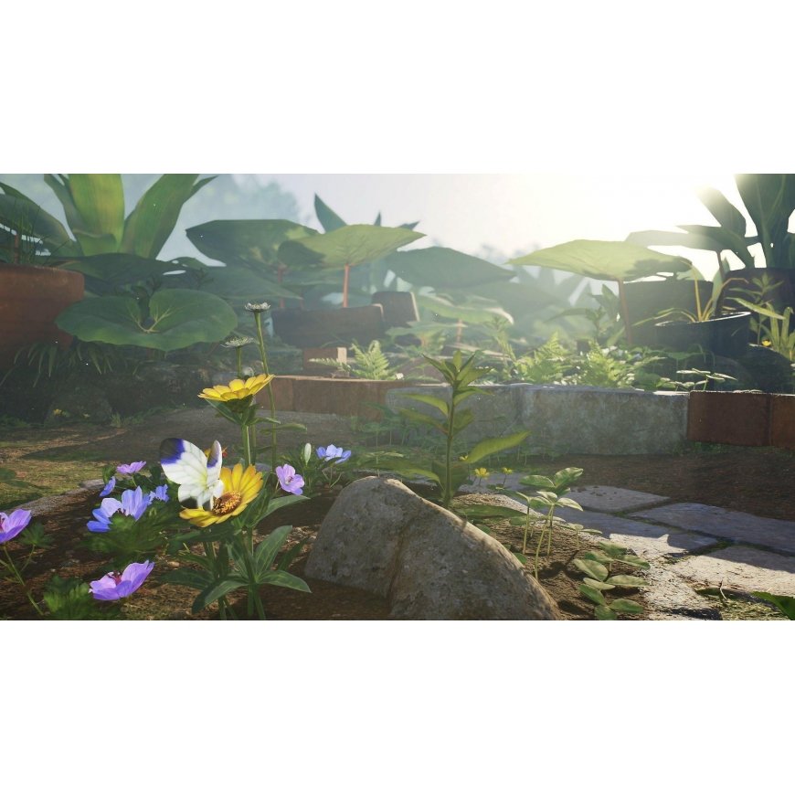 Nintendo Switch - Pikmin 4 UK4 – 5