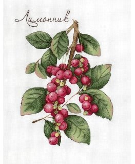 Beldizart Schisandra SNV-625