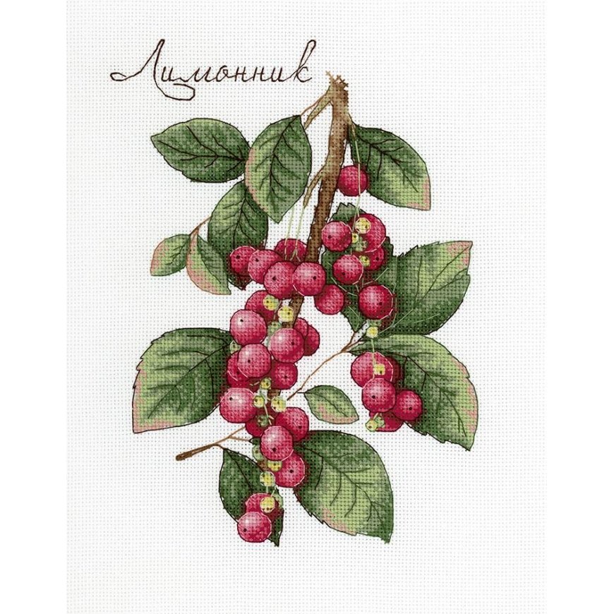 Beldizart Schisandra SNV-625