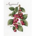 Beldizart Schisandra SNV-625 Beldizart Schisandra SNV-625