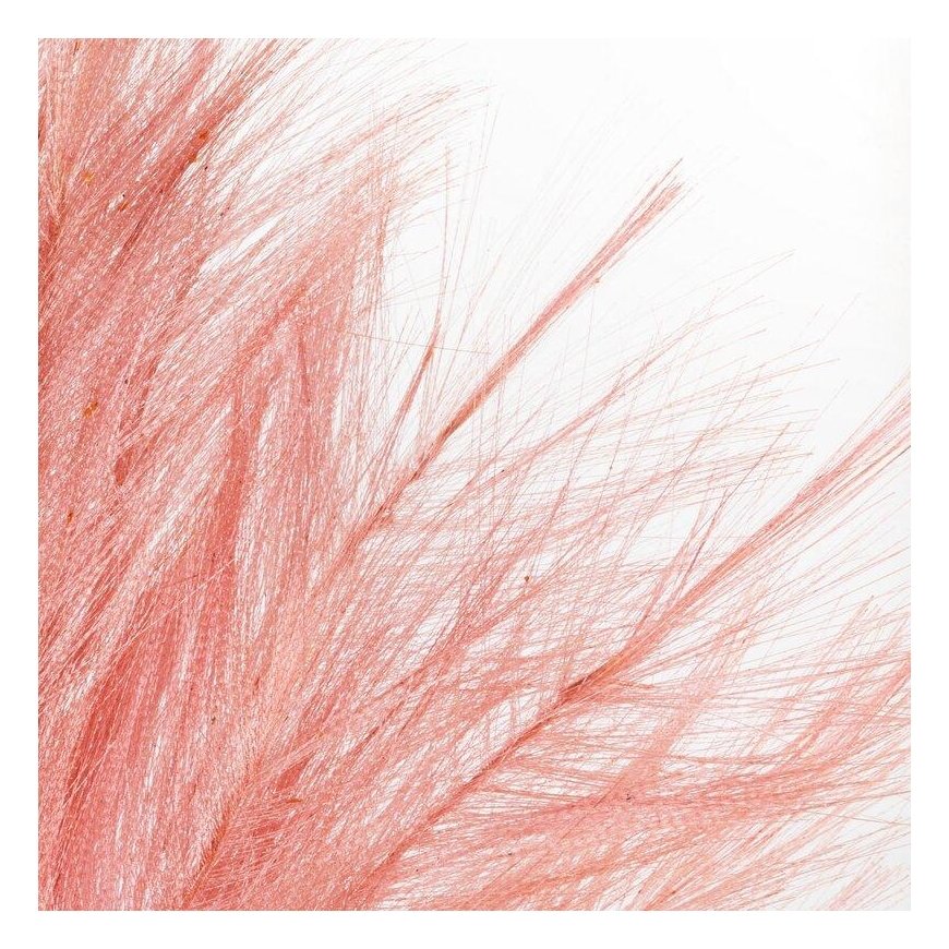 Eurofirany KW/WIANEK/1/ROZ Pink – 2