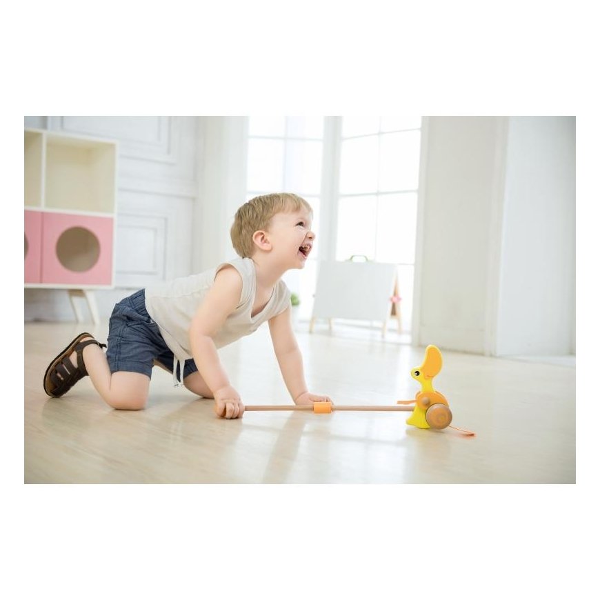 Wooden duck pusher, Classic World – 3