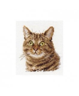 Beldizart Cat's eyes S0-135