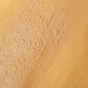 Petite&Mars Petite & Mars - Royal Canopy + Reversible Insert | Thick honey Petite&Mars Petite & Mars - Royal Canopy + Reversible Insert | Thick honey