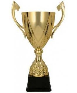 Tryumf Golden metal cup 3133A