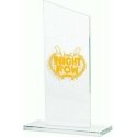 Tryumf Engraved glass trophy + paint filler