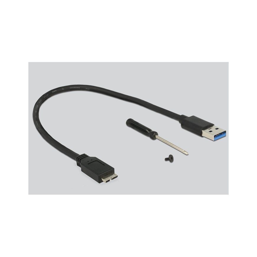 DeLOCK 42594 cieto disku uzglabāšanas sistēma SSD diska korpuss Melns, Sudrabs M.2 – 4