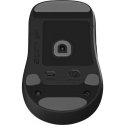 Endgame Gear OP1 Mouse Skates, 100% PTFE, milky-white, Single Set Endgame Gear OP1 Mouse Skates, 100% PTFE, milky-white, Single Set