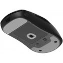 Endgame Gear OP1 Pelė Skates, 100% PTFE, milchig-baltas, Single Set Endgame Gear OP1 Pelė Skates, 100% PTFE, milchig-baltas, Single Set