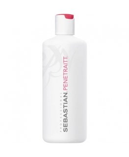 Sebastian Professional Penetraitt Deep Stregthening y Atstatomasis Plaukų kaukė 500ml