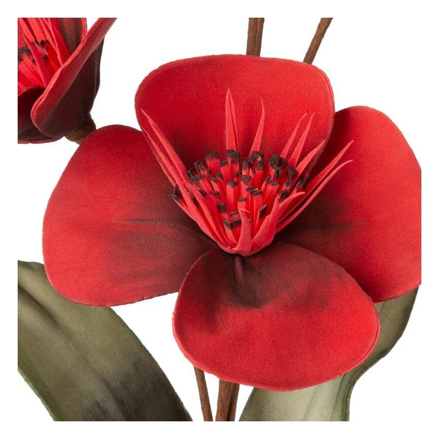 Eurofirany AW/FLORE/720/JUN RED+BLACK – 2