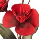 Eurofirany AW/FLORE/720/JUN RED+BLACK