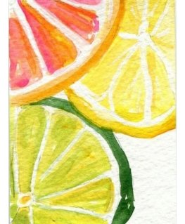 Beldizart Citrusiniai švieži 15*20 cm WD281
