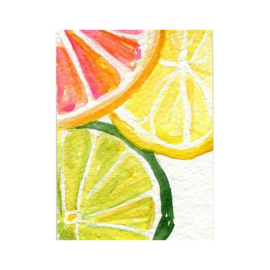 Beldizart Citrusiniai švieži 15*20 cm WD281