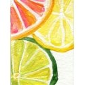 Beldizart Citrusiniai švieži 15*20 cm WD281 Beldizart Citrusiniai švieži 15*20 cm WD281