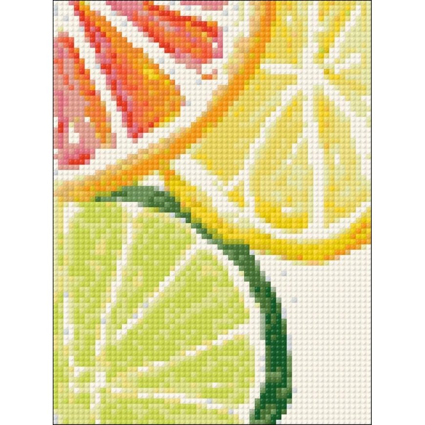Beldizart Citrusiniai švieži 15*20 cm WD281 – 2