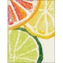 Beldizart Citrus fresh 15*20 cm WD281