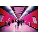 Lomographische Ag Color film Lomochrome Violet ISO 100-400/135/36 (C41) Lomographische Ag Color film Lomochrome Violet ISO 100-400/135/36 (C41)