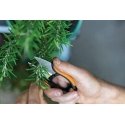 FISKARS SOLID SP220 HERB SCISSORS FISKARS SOLID SP220 HERB SCISSORS